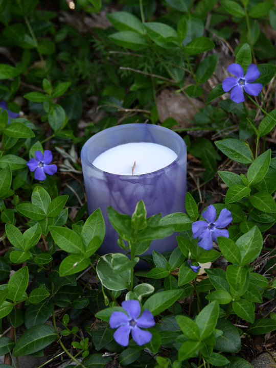 Wood Wick Jar Candle - Lavender and Sage