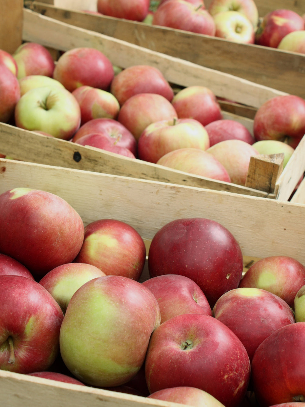 Wood Wick Jar Candle - Crate of Apples