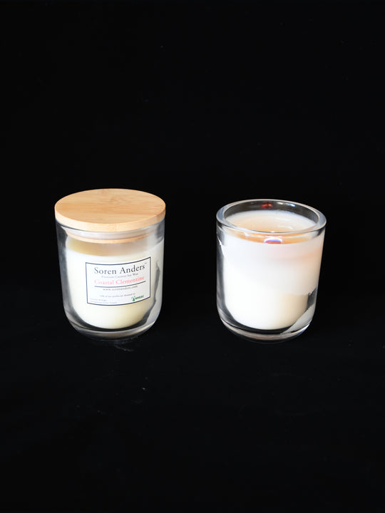 Wood Wick Jar Candle - Coastal Clementine