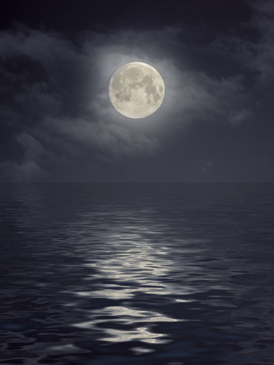 Wood Wick Jar Candle - Midnight