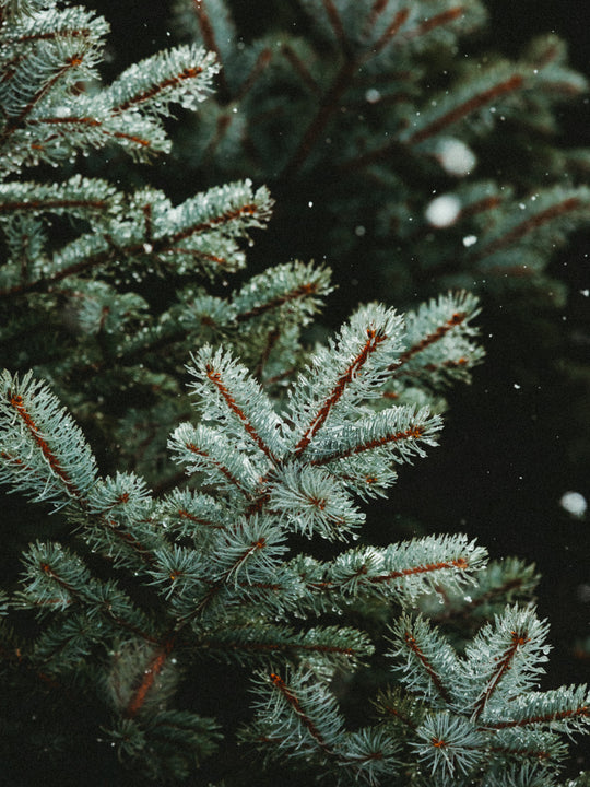 Mottled Pillar Candles - Blue Spruce