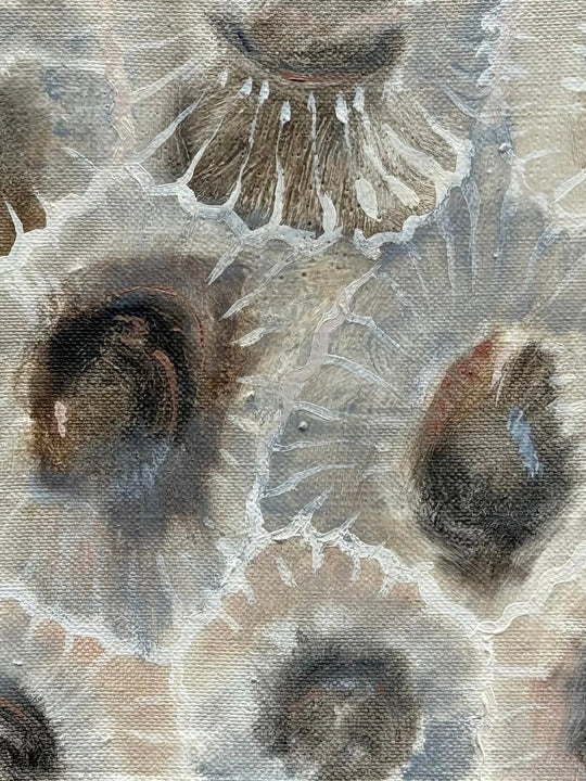 Wood Wick Jar Candle - Petoskey Stones