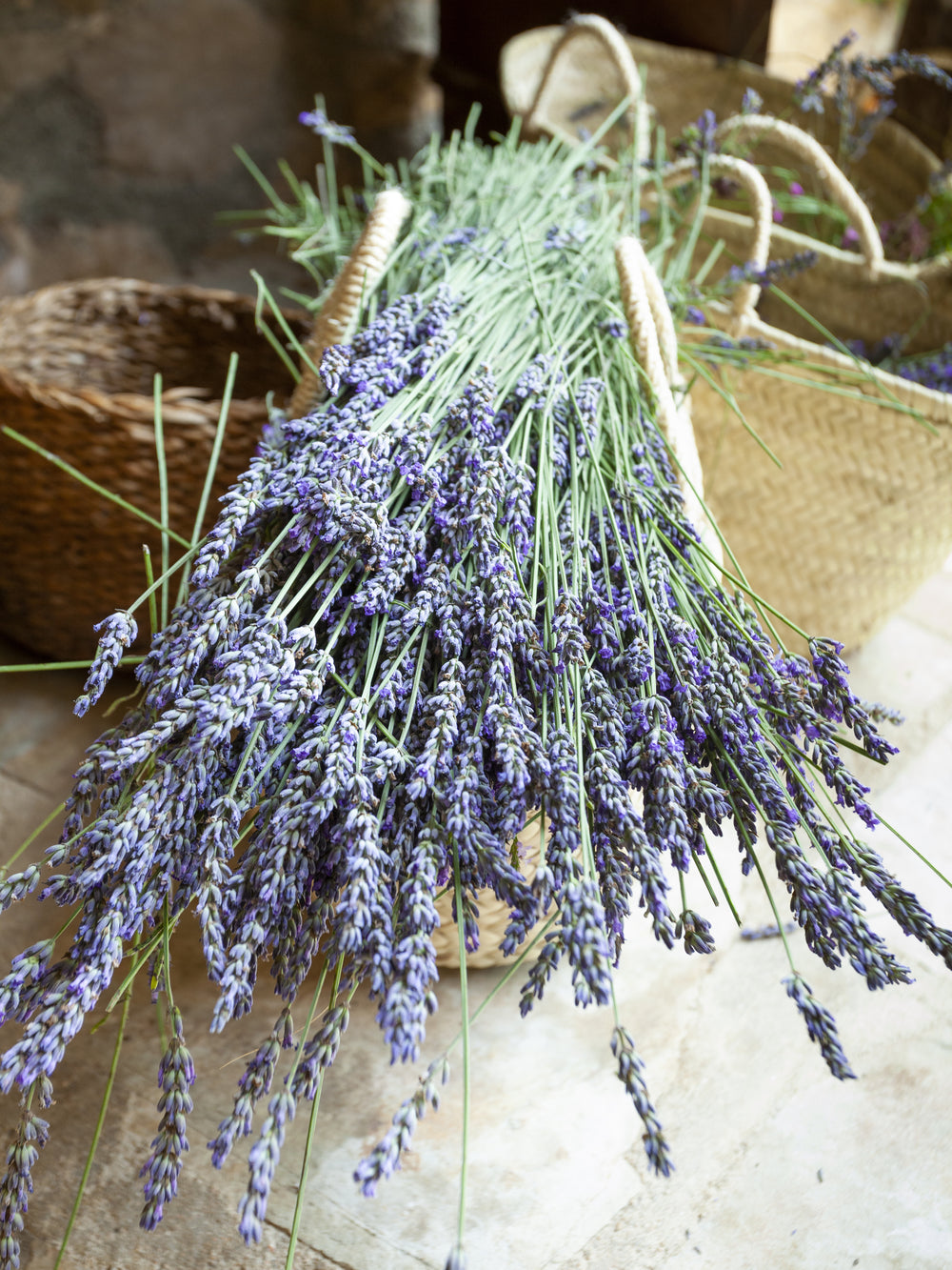 Wood Wick Jar Candle - Rough-Cut Lavender