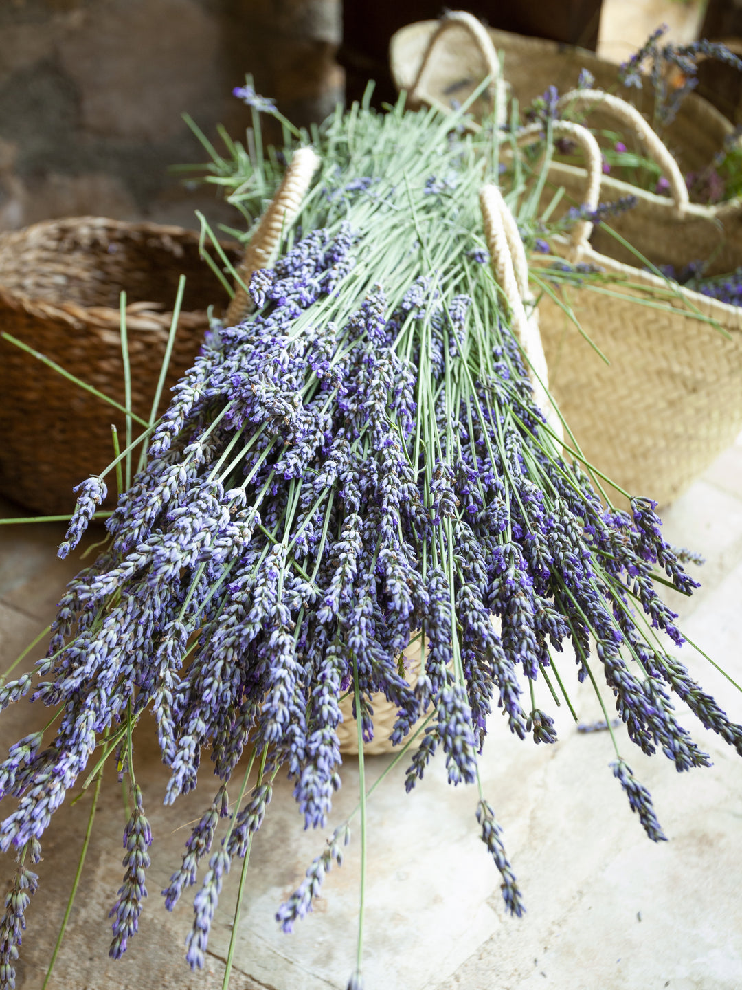 Wood Wick Jar Candle - Rough-Cut Lavender