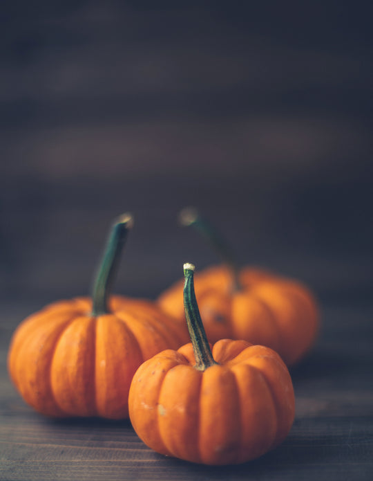 Wood Wick Jar Candle - Spiced Pumpkin